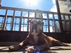 1383170_10152032868708185_771538919_n