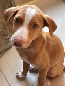 16806827_10155046553693185_4280035653477167056_n