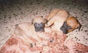 428771_10150736858893185_400449645_n