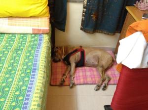 965800_10152102531628185_1955091579_o